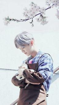 陆地夫妇约吧大明星文,甜蜜互动，娱乐圈的浪漫邂逅